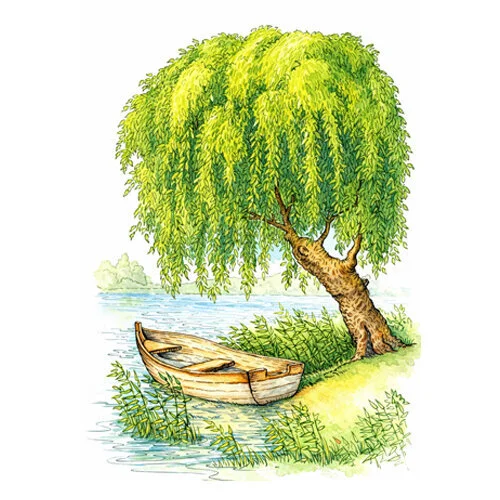 Цветной вариант раскраски парк с деревом верба