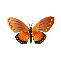 Цветной пример раскраски бабочка с пятнышками на крыльях
