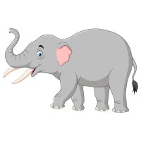 Цветной вариант раскраски большой индийский слон