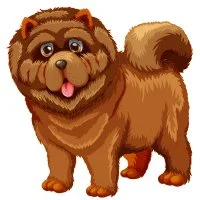 Цветной вариант раскраски собака чао-чао