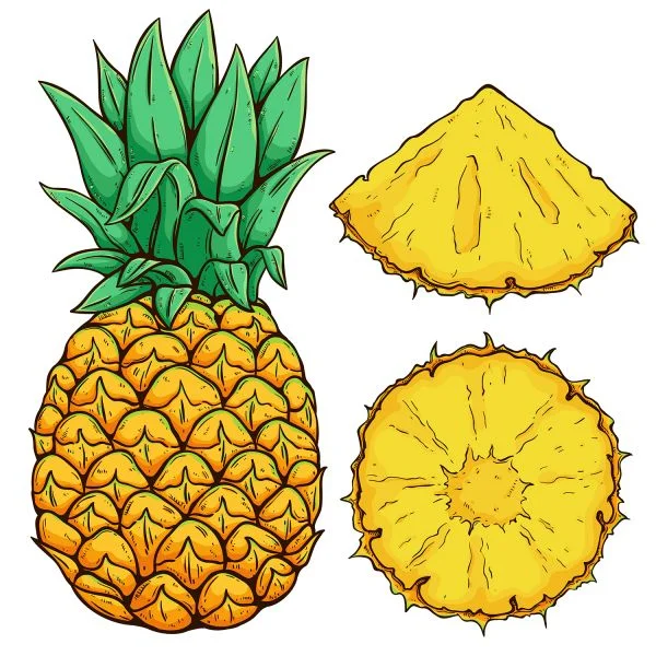 Цветной вариант раскраски сочный ананас