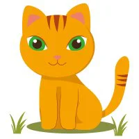 Цветной пример раскраски спокойный кот