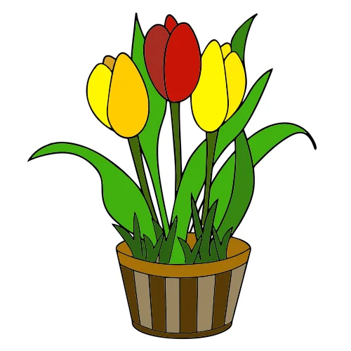 Цветной вариант раскраски тюльпаны в горшке