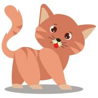 Цветной вариант раскраски короткошерстный кот