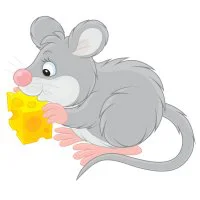 Цветной вариант раскраски мышка-норушка с сыром
