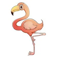 Цветной пример раскраски фламинго прелестный