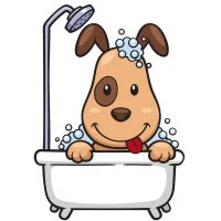 Цветной вариант раскраски собачка принимет ванну