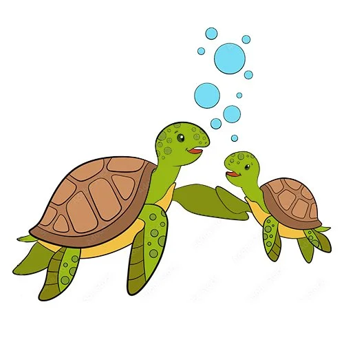 Цветной вариант раскраски черепахи мама и ребенок