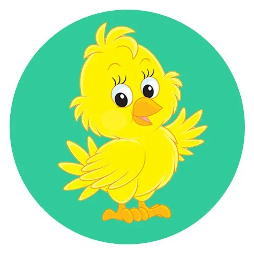 Цветной вариант раскраски цыпленок машет
