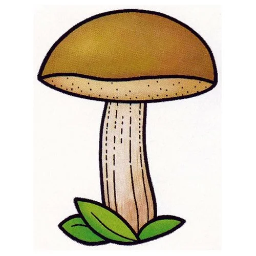Цветной пример раскраски дубовик гриб