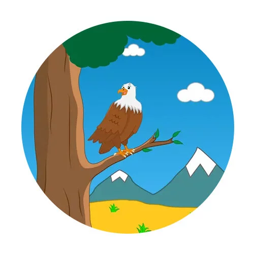 Цветной вариант раскраски горный орел