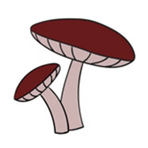 Цветной вариант раскраски гриб лесной