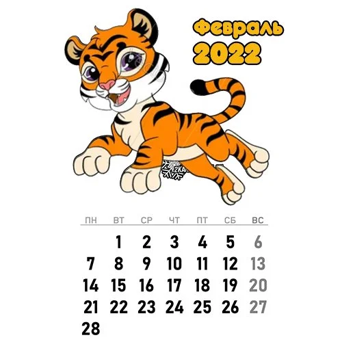 Цветной вариант раскраски календарь февраль 2022 год тигра
