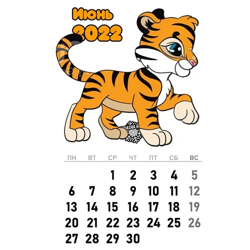 Цветной вариант раскраски календарь июнь 2022 год тигра