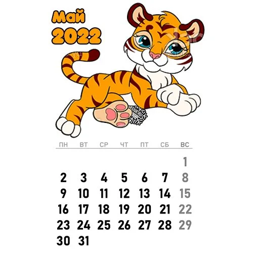 Цветной вариант раскраски календарь май 2022 год тигра