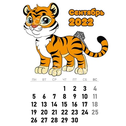 Цветной вариант раскраски календарь сентябрь 2022 год тигра