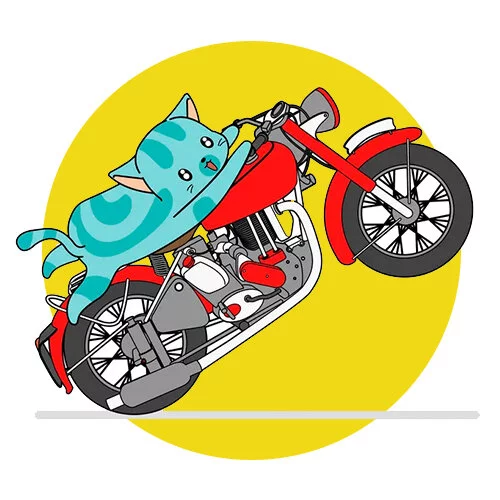 Цветной пример раскраски котик на мотоцикле
