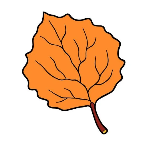 Цветной вариант раскраски лист осина