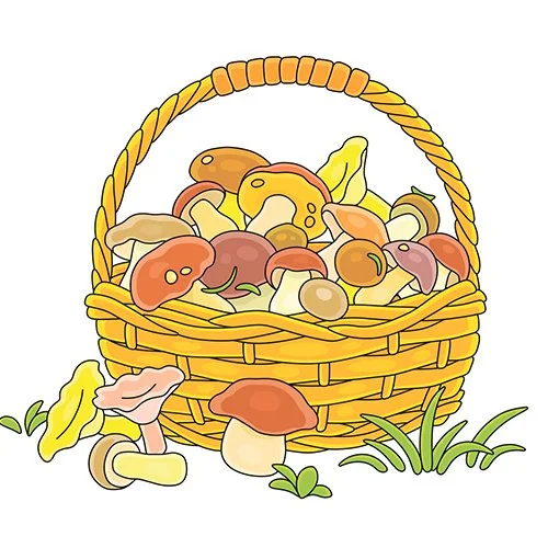 Цветной вариант раскраски лукошко корзинка грибов