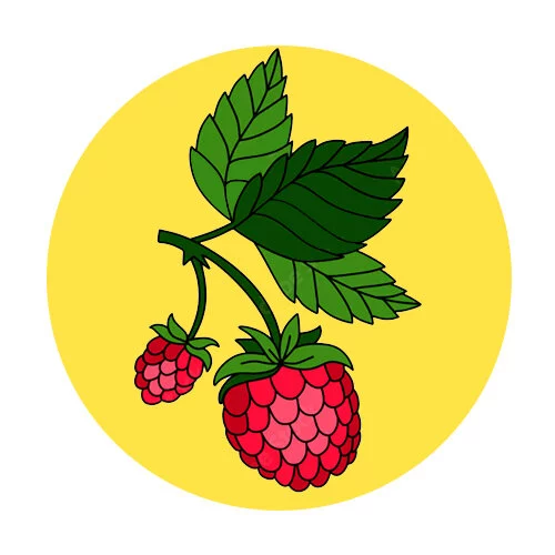 Цветной пример раскраски малина две ягоды