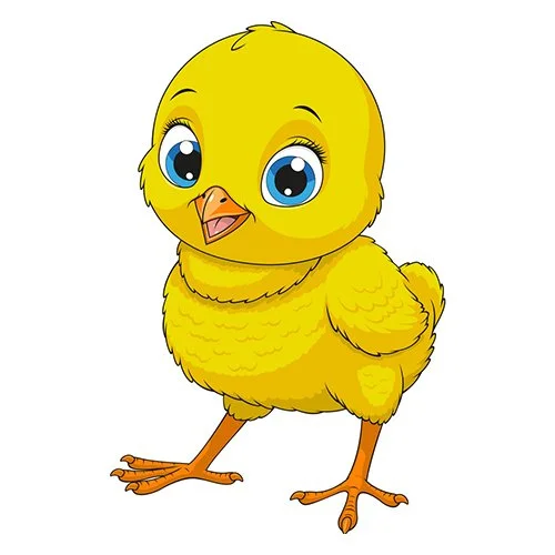 Цветной вариант раскраски милый цыпленок малыш