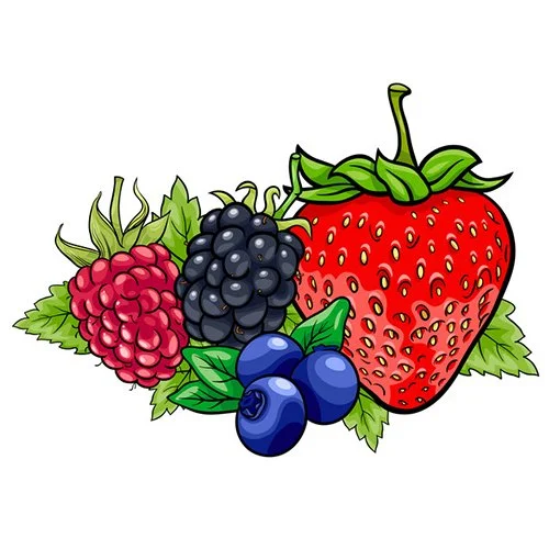 Цветной пример раскраски набор ягод