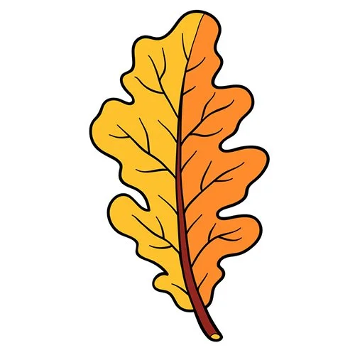 Цветной пример раскраски один дубовый лист