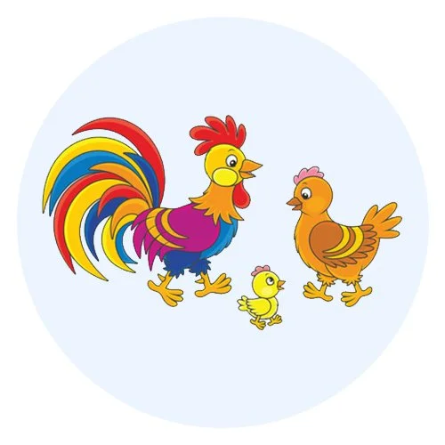 Цветной вариант раскраски папа петух, мама курица и цыпленок