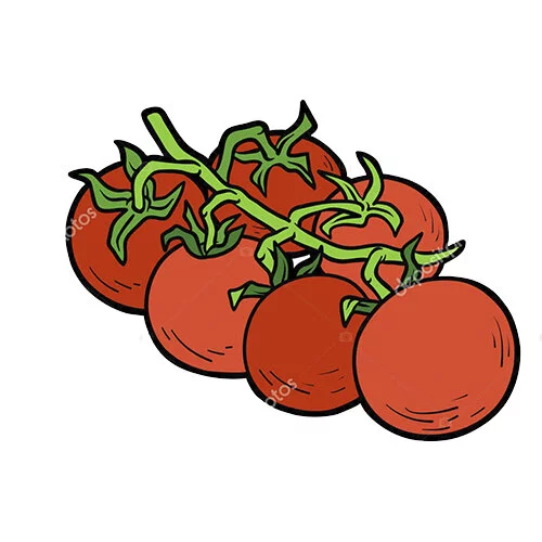 Цветной пример раскраски помидор на ветке