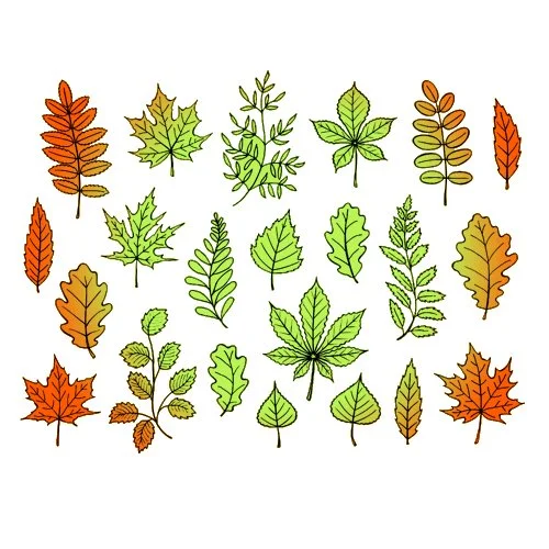 Цветной пример раскраски сбор листьев
