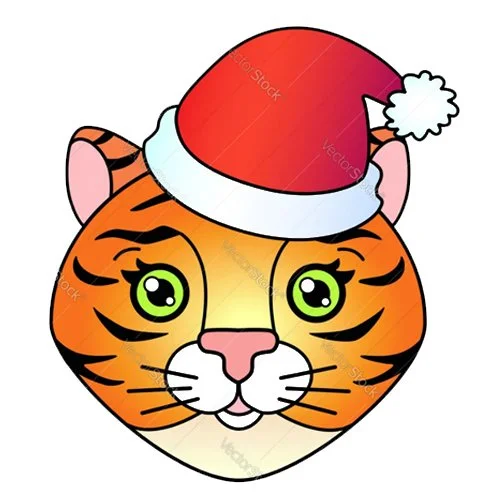Цветной вариант раскраски тигр в шапке новый год 2022