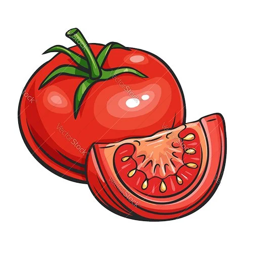 Цветной пример раскраски томат или помидор