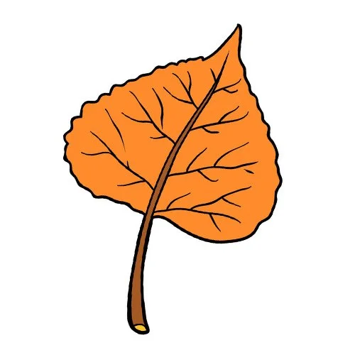 Цветной пример раскраски тополиный лист