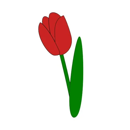 Цветной вариант раскраски тюльпан обведи по линиям