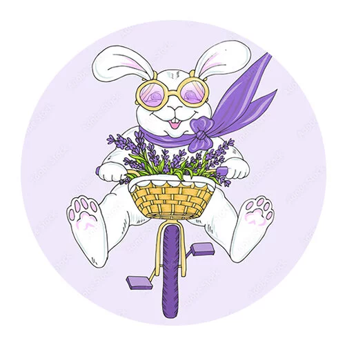 Цветной вариант раскраски заяц на велосипеде с корзинкой