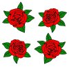 Цветной пример раскраски 4 бутона розы
