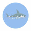 Цветной пример раскраски акула над водой