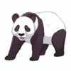 Цветной пример раскраски большая панда