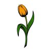 Цветной пример раскраски бутон тюльпана