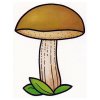 Цветной пример раскраски дубовик гриб