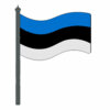 Цветной пример раскраски флаг эстонии