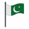 Цветной пример раскраски флаг пакистана