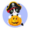 Цветной пример раскраски котик-пират тыква