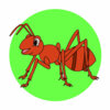 Цветной пример раскраски муравей полосатый