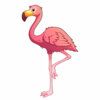 Цветной пример раскраски очень симпатичный фламинго