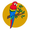 Цветной пример раскраски попугай настоящий