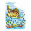 Цветной пример раскраски рыба речная под водой