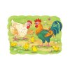 Цветной пример раскраски семья петух, курица и цыплята