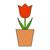 Цветной пример раскраски тюльпан в горшке