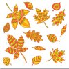 Цветной пример раскраски узоры на разных листьях